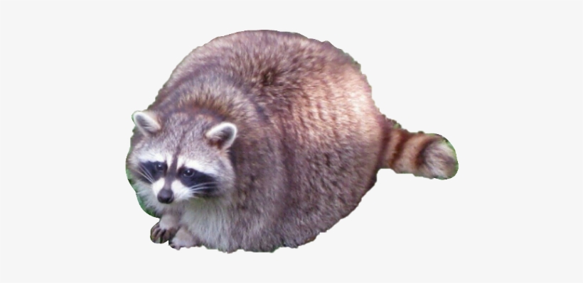 Frenchiest Fry, transparent png download