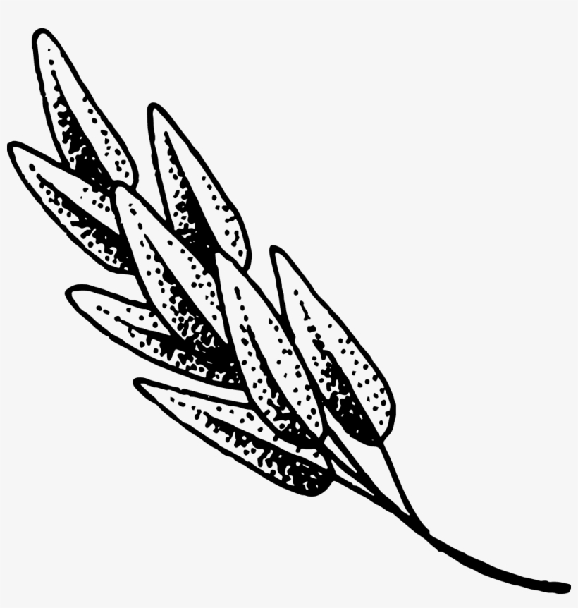 The Doctor's Housejessica & Joelfilm - Illustration, transparent png download