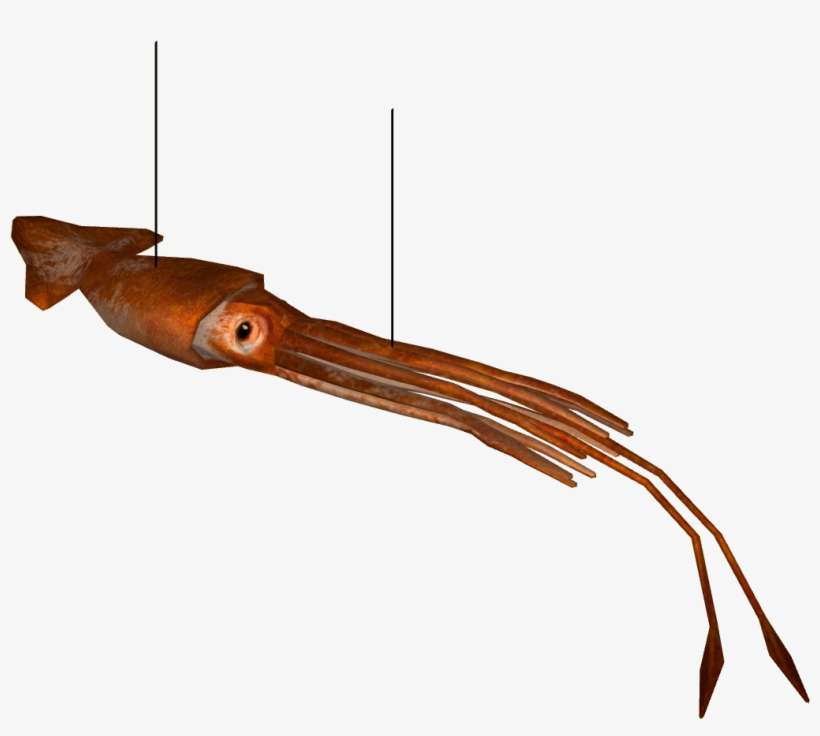 Giant Squid -0 - Zoo Tycoon 2, transparent png download