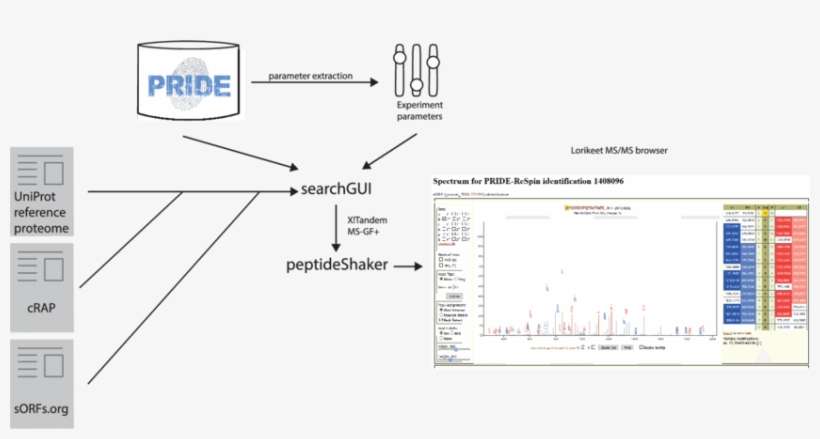 General Overview Of The Pride Respin Pipeline - Engineering, transparent png download
