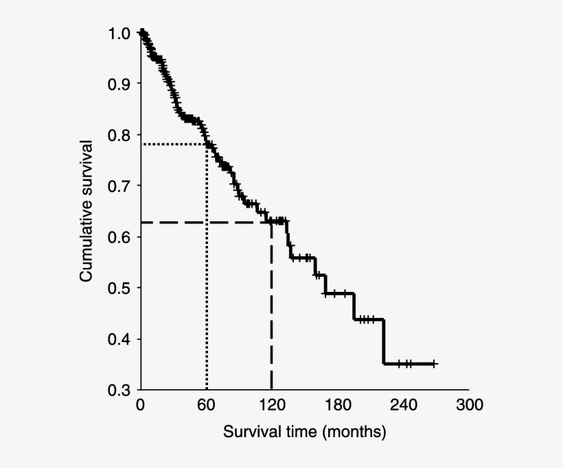 Cumulative Survival Analysis According To The Kaplan-meier - Survival Analysis, transparent png download