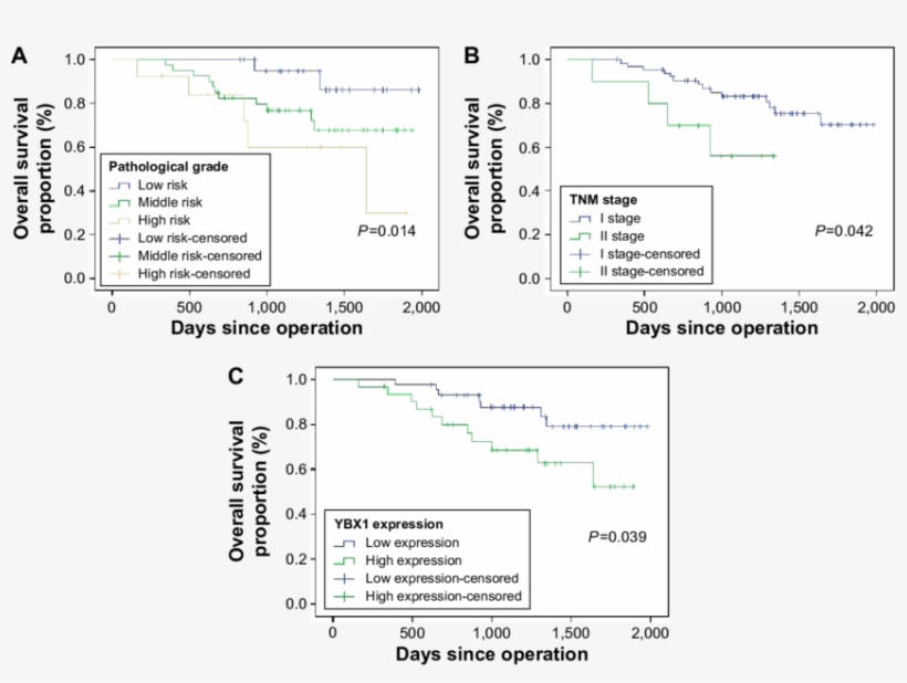 Kaplan Meier Survival Curves For Overall Survival In - Diagram, transparent png download
