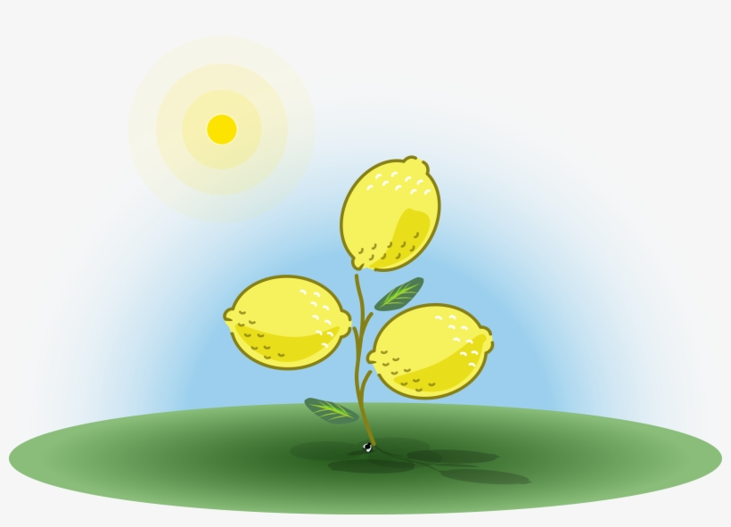 Wow, Thanks For Your Interest Enjoy Your Freebie, And - Illustration, transparent png download