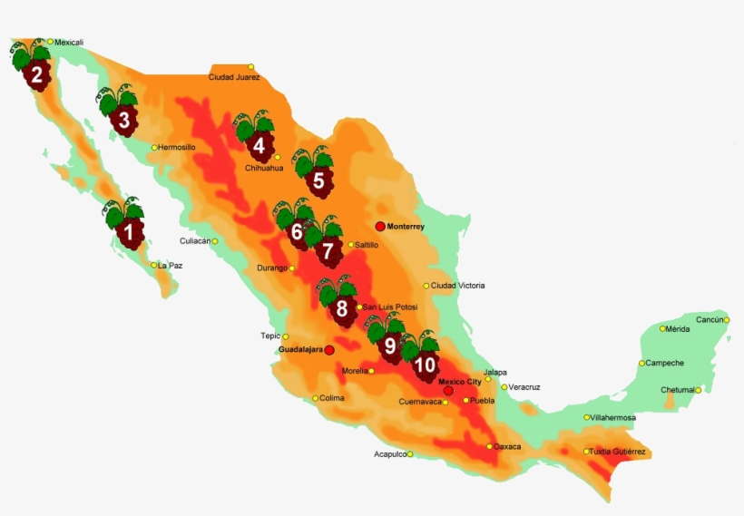 Zonas Vinicolas De Mexico 999×654 Píxeles - Rutas Del Vino En Mexico, transparent png download