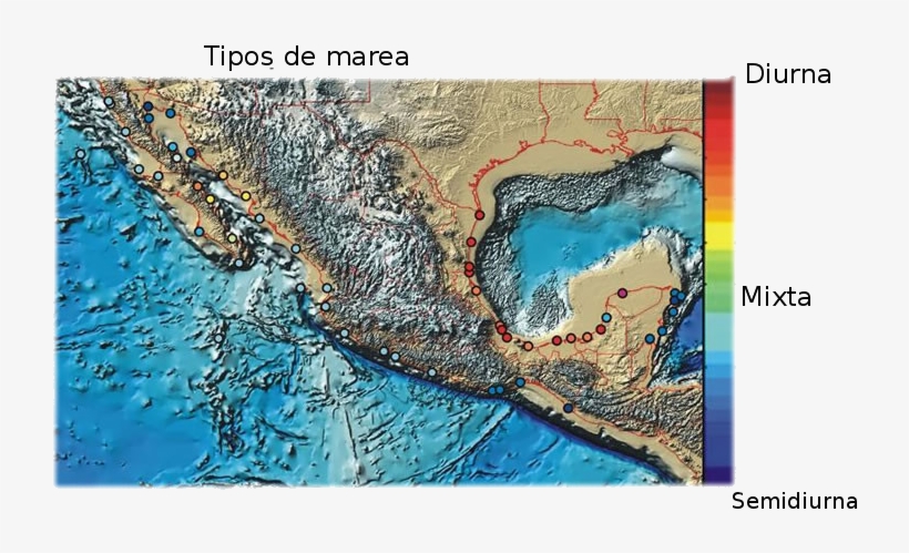 El Punto Medio Indica El Tipo De Marea Mixta Con 50% - Mareas Del Golfo De Mexico, transparent png download