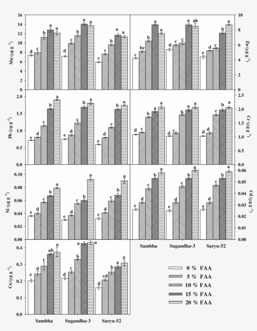 Effect Of Different Faa On Heavy Metal Accumulation - Cultivar, transparent png download