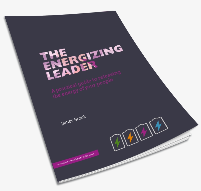 Download Here The Energizing Leader - Flyer, transparent png download