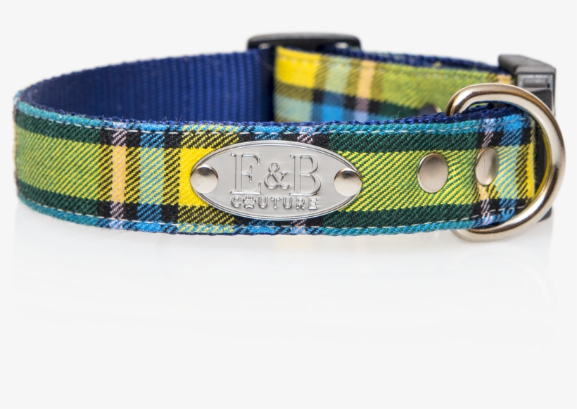 Loading Zoom - Dog Collar, transparent png download