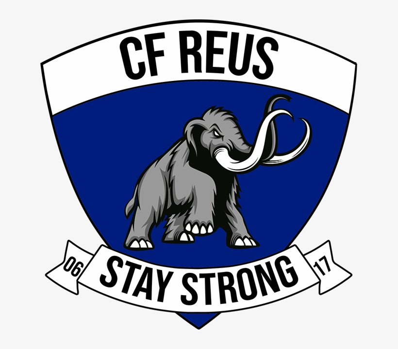 Pago De Matricula, transparent png download