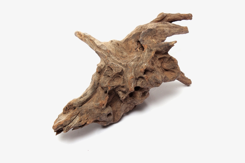 Shape Minifiss Bonsai Driftwood - Automatic Fish Feeder Aquarium Driftwood Root Log Stump, transparent png download