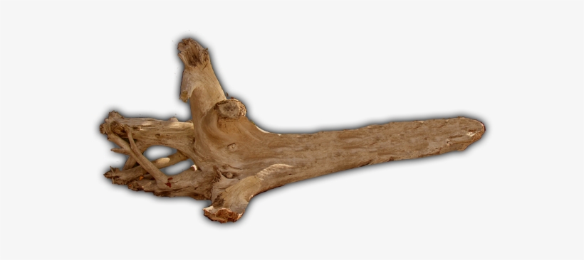 Forums - Transparent Image Of Driftwood, transparent png download