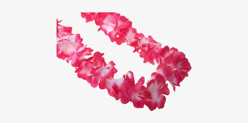 Hawaiian Lei Garland Pink - Hawaii, transparent png download