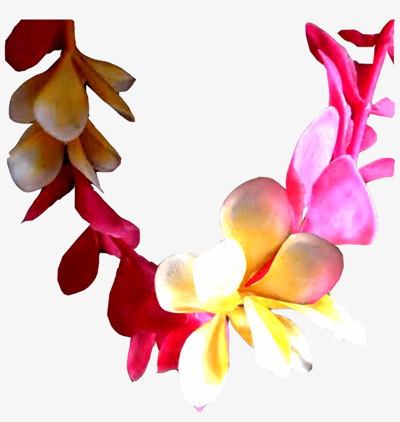 Piece Of Lei 2 - Aloha, transparent png download