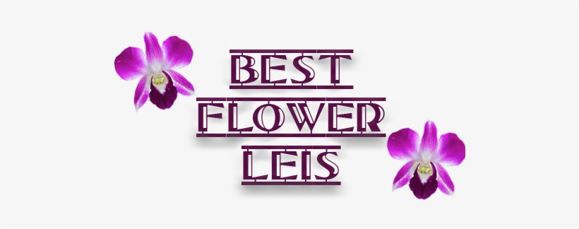 Golf Dad Mug, transparent png download