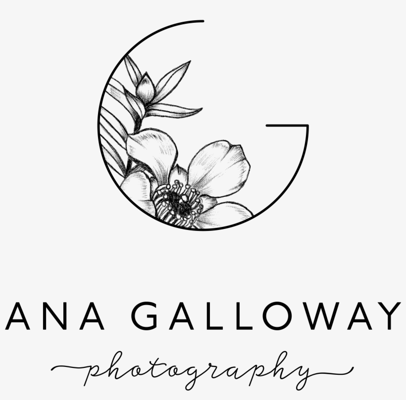 Home - Stories - Line Art, transparent png download