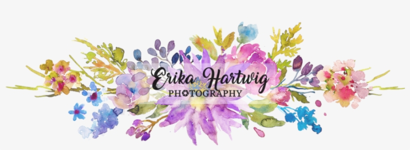 Logo - Crocus, transparent png download