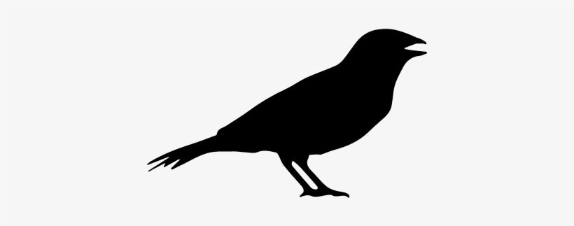 Anis Bird Shape Vector - Icone De Passaro PNG Image | Transparent PNG ...