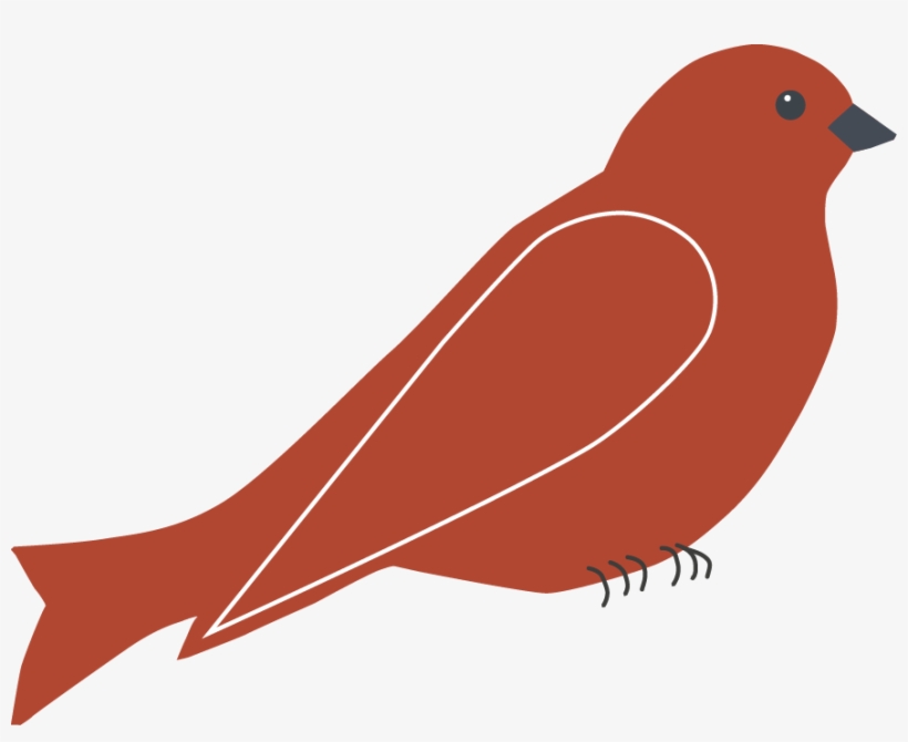 Red Bird Vector Thin White - Bird Red, transparent png download