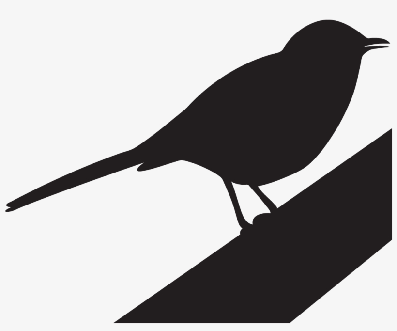 Northern Overview All About Clip Art Royalty Free Download - Mockingbird Png, transparent png download