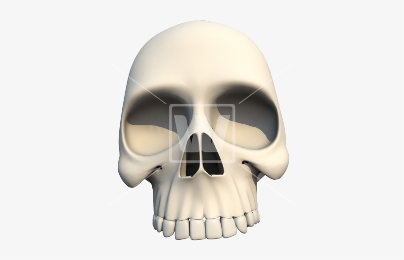 Human Skull Png Front - Royalty-free, transparent png download