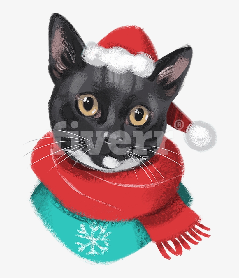 Siamese, transparent png download