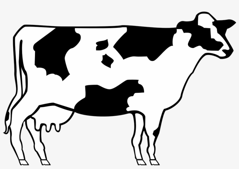 Picture Royalty Free Beef Free On Dumielauxepices Net - Simple Cow Line Art, transparent png download