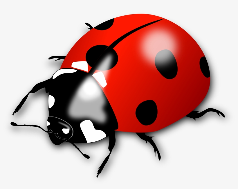 Free Ladybird Free Spider Silhouette Free Monarch Butterfly - Lady Bird Png, transparent png download