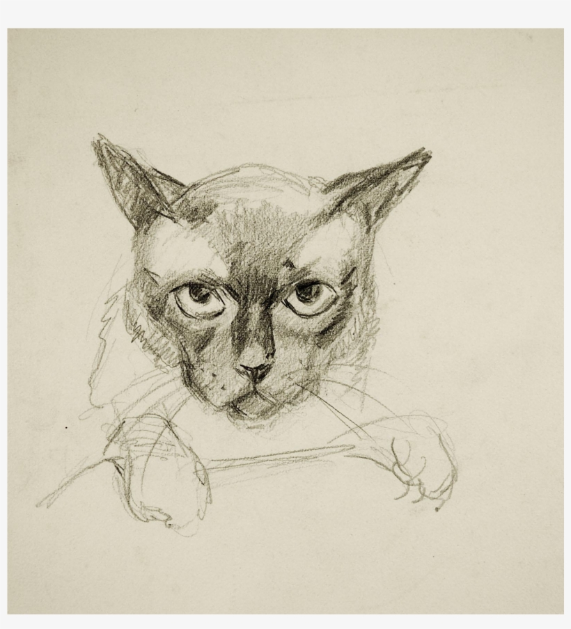 George Baer Pencil Study Of Cat Drawing - Drawing, transparent png download