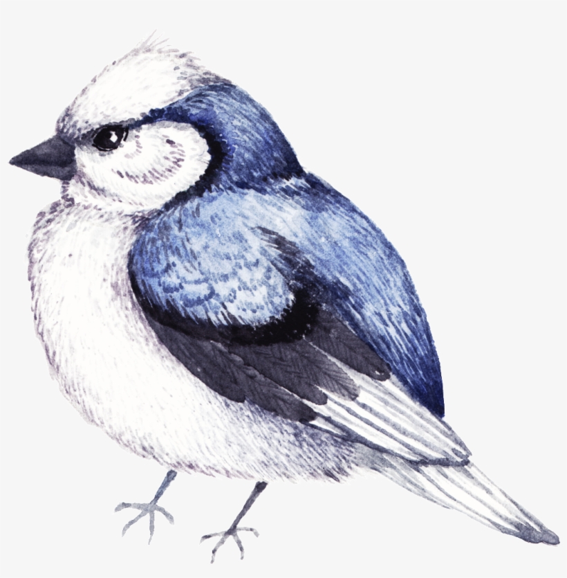 Ink Watercolor Bird Decoration Transparent - Watercolor Painting, transparent png download