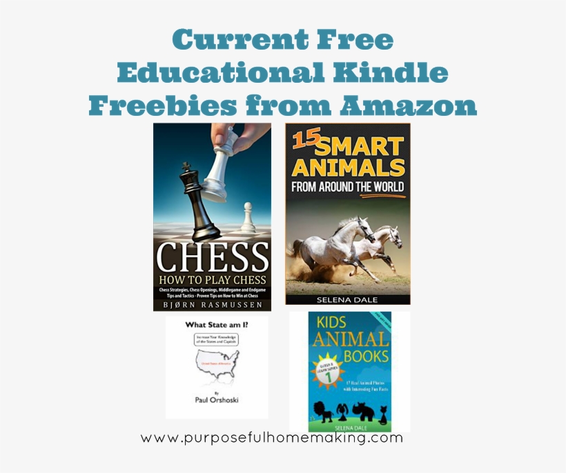 Today's Free Educational Kindle Books Or Amazon Prime - Rikki Knight Fantasy White Horses Design Black Leather, transparent png download