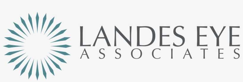 Landes Eye Associates Landes Eye Associates - Family And Children's Services Kalamazoo, transparent png download