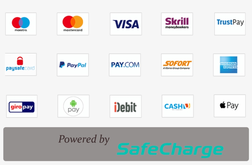 Payment - Visa, transparent png download