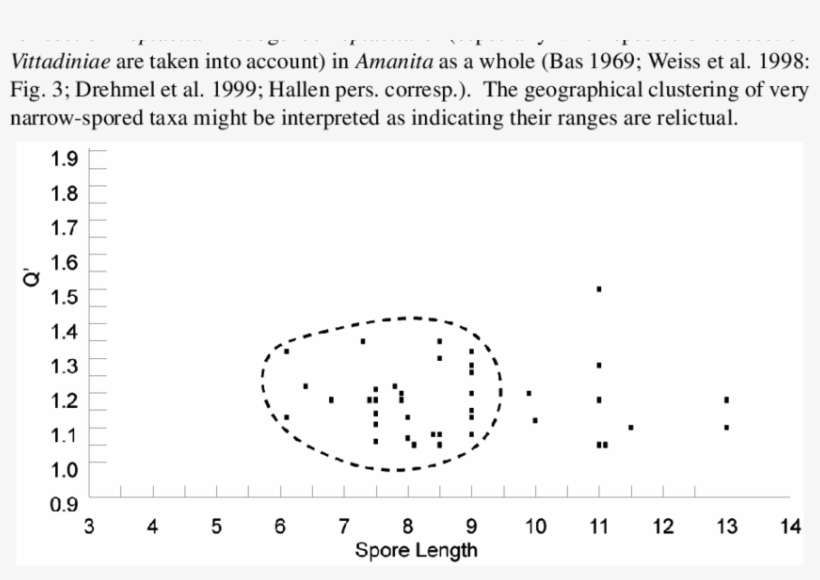 A Scatter Plot Of Spore Length Versus Q' For The Spores - Circle, transparent png download