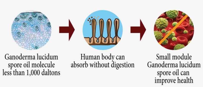 Through The Ultrafiltration Technique And Co2 Supercritical - Strawberry, transparent png download
