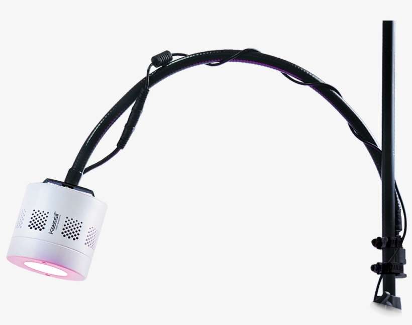 Kessil H350/deep Purple - Kessil Gooseneck Ebay, transparent png download