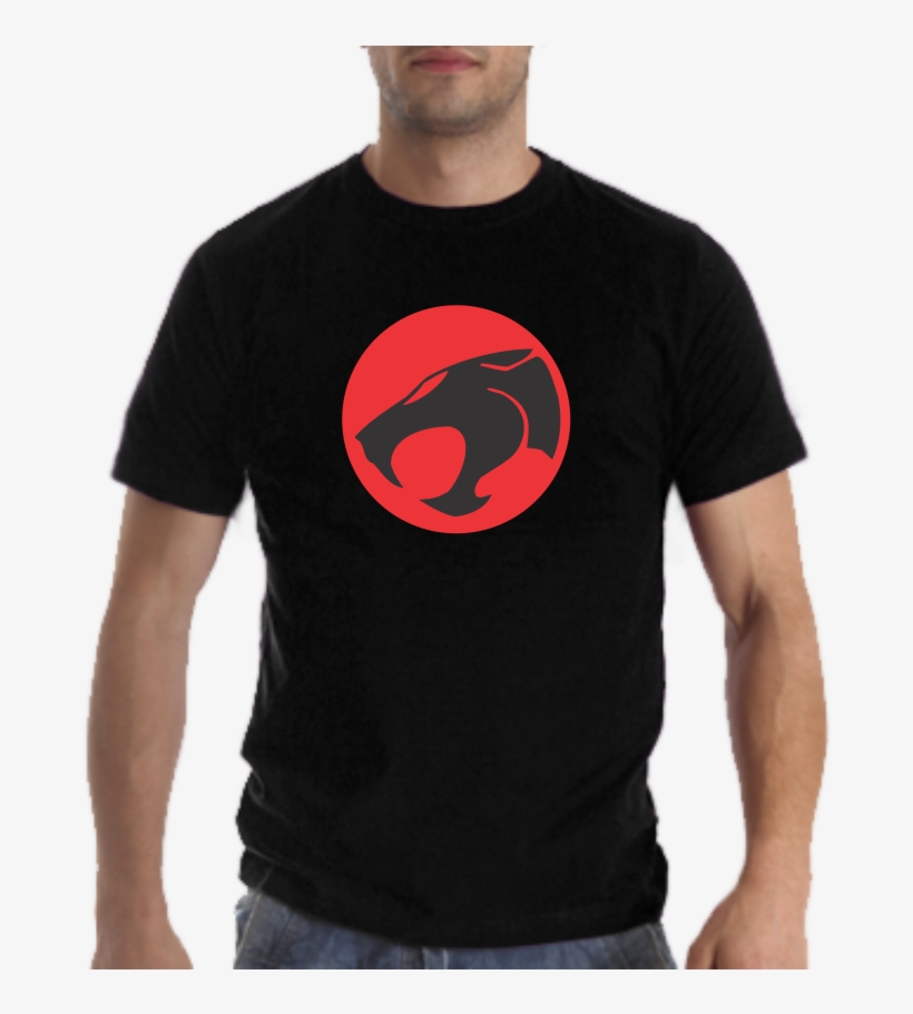 Html5box - Com - Thundercats, transparent png download