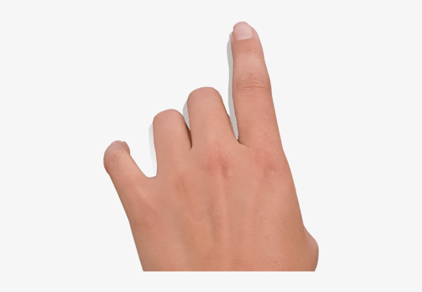 Msu College Of Arts & Letters, transparent png download