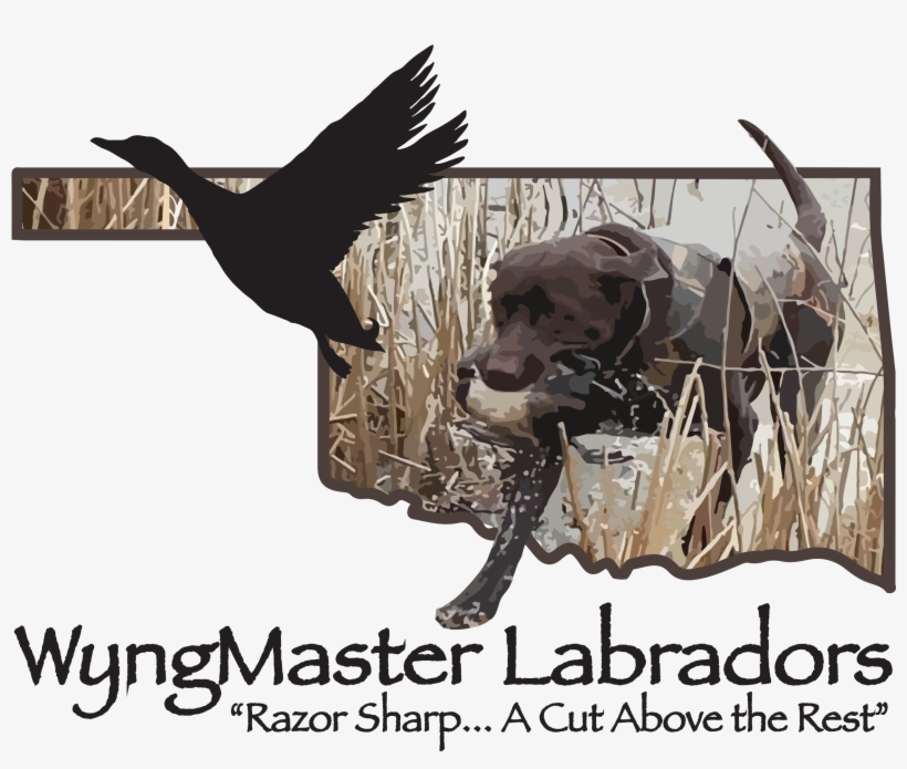 The Making Of A Gun Dog Part 1- Barbie - Love My Autistic Daughter T Oval Ornament, transparent png download