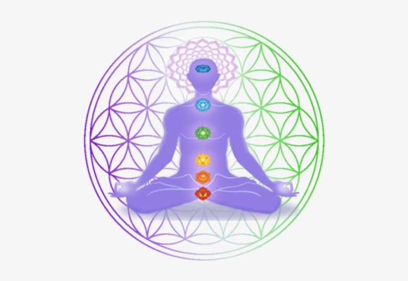 Exhibitors At Fitcon Fitcon Norwex Improving Quality - My Green Horizen Cbd, transparent png download