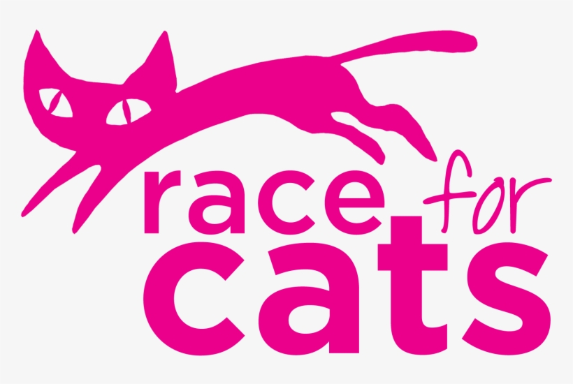A Practitioner From Peverell, Plymouth, Will Be Walking - Cat, transparent png download
