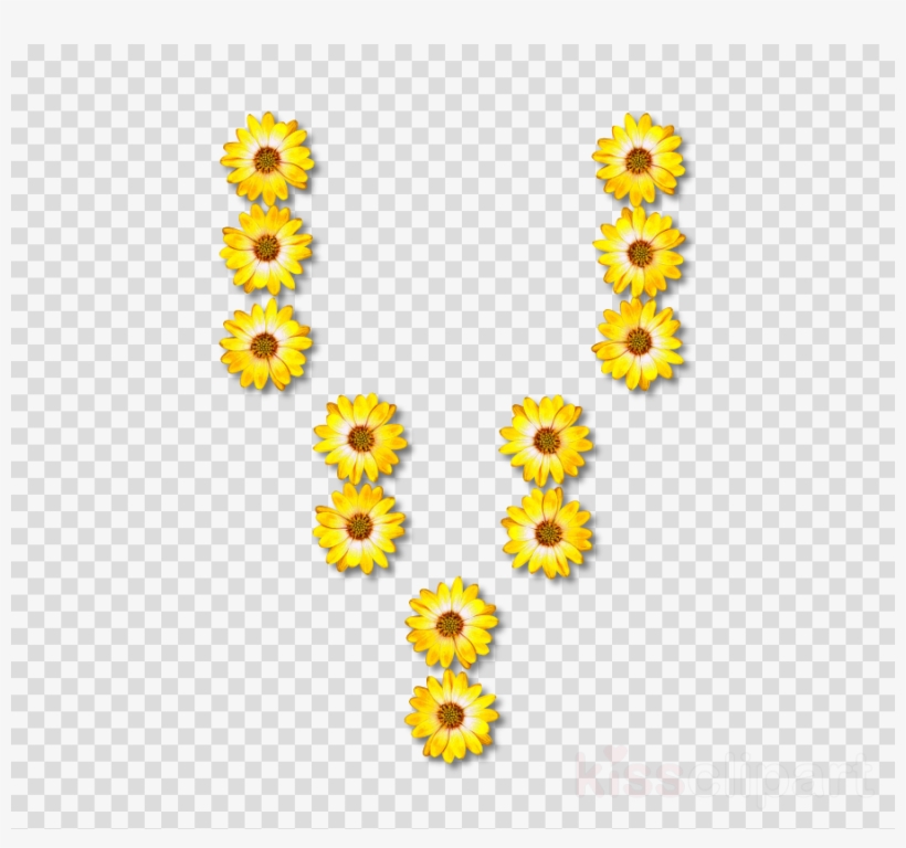 Common Sunflower Clipart Common Sunflower Sunflower - Common Sunflower, transparent png download