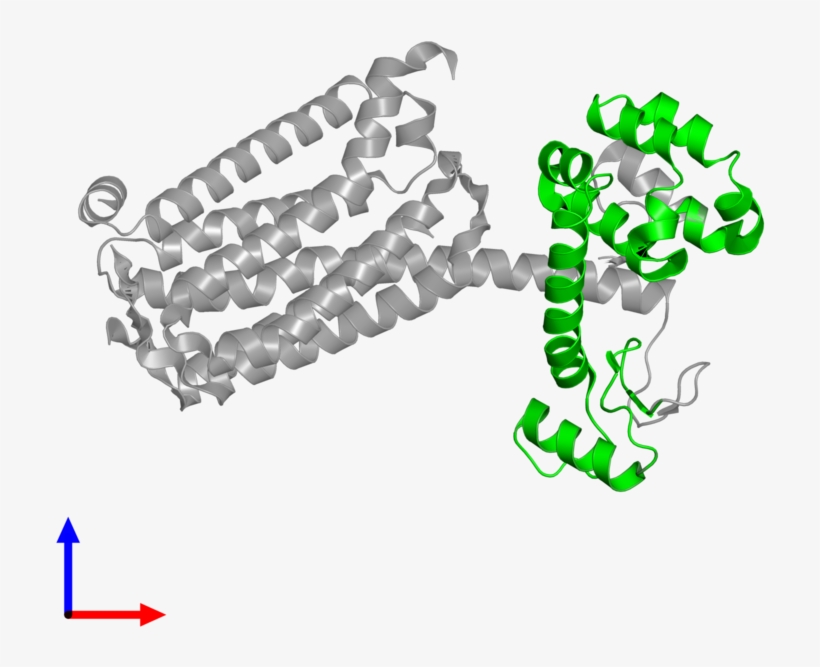 Chain, transparent png download