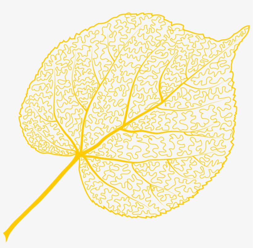 Transparent Stock Collection Of High Quality Free Cliparts - Illustration, transparent png download