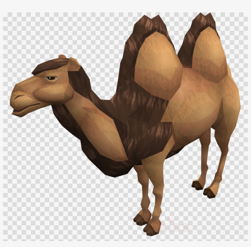 Arabian Camel Clipart Dromedary Bactrian Camel Clip - Bactrian Camel, transparent png download