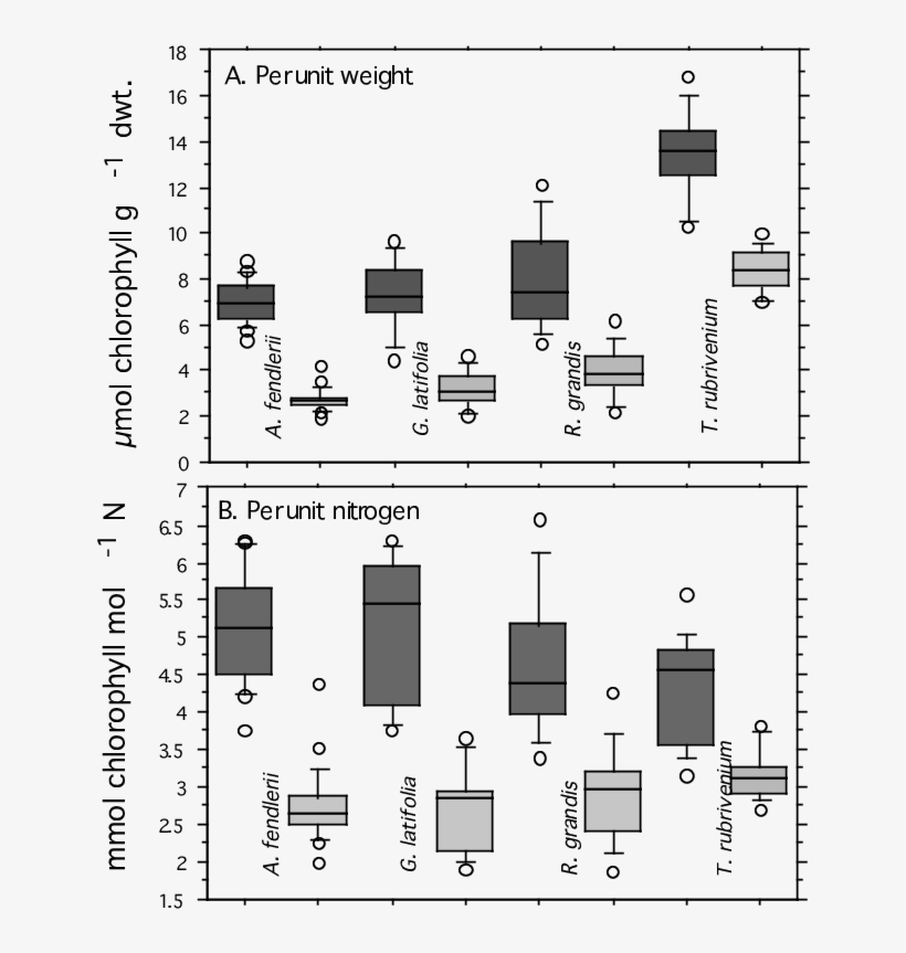Chlorophyll Content Per Unit Leaf Weight And Unit Leaf - Diagram, transparent png download