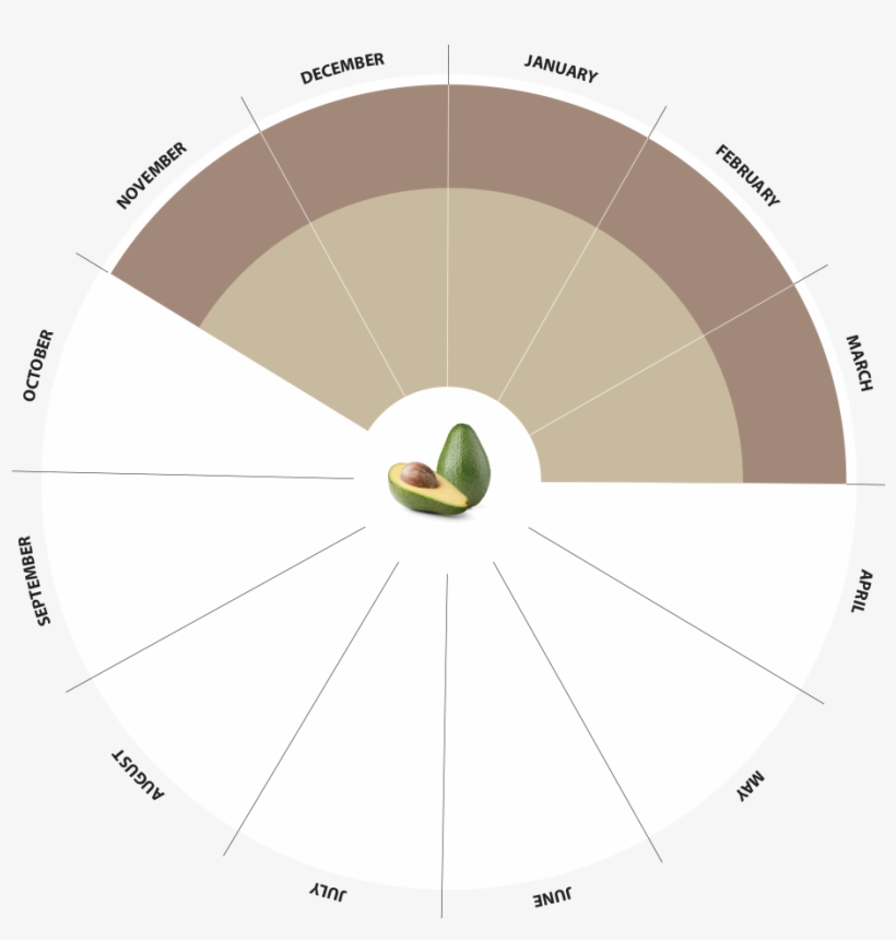 Bio Avocado Production Calendar - Avocado, transparent png download