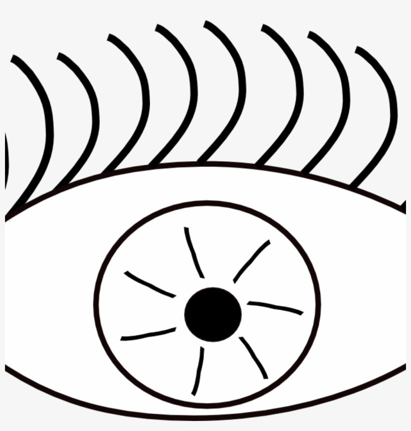 Black And White Eyeball - Sense Of Sight Png, transparent png download