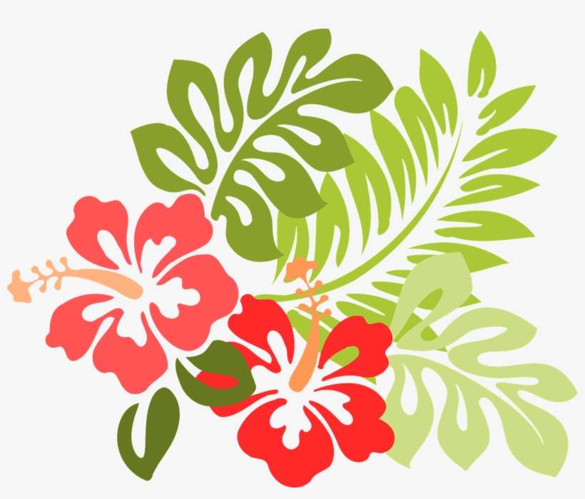 Spring Pink And Red Hibiscus Flowers Hawaii 6 Cm Round - Clip Art Hibiscus, transparent png download