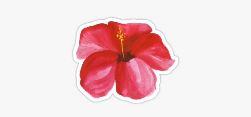 Summer Watercolor Beautiful Tropical Flower&quot - Sticker, transparent png download
