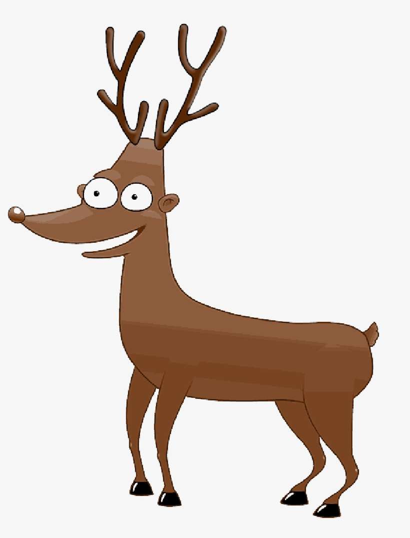 Mb Image/png - Custom Funny Deer Shower Curtain, transparent png download